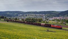 Güterzug in Blumenwiese