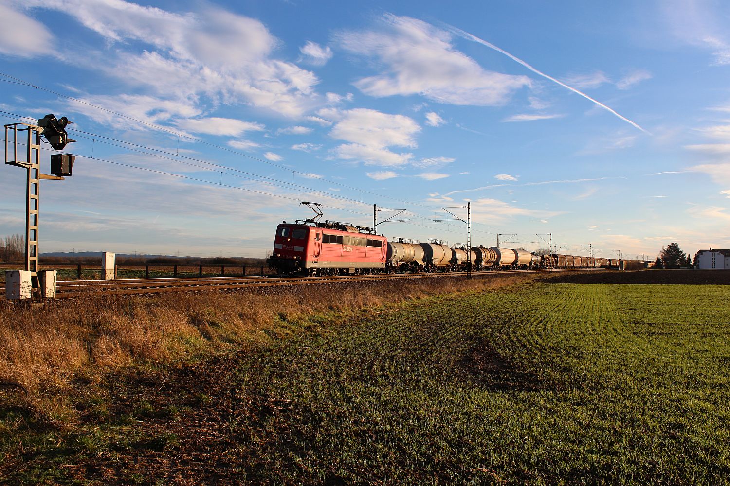 Güterzug kurz vor Gernsheim auf der Riedbahn