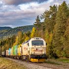 Güterzug mit einer Euro 4000 von Railcare in Richtung Süden auf der Rorosbanen in Spongoya