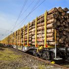 Güterzug mit Holz beladen...
