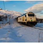 Güterzug nach Bodø