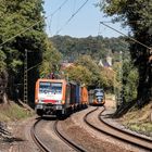 Güterzug und Straßenbahn