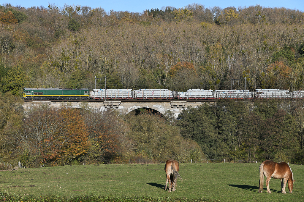  Güterzug- Viadukt bei Remersdaal (B)