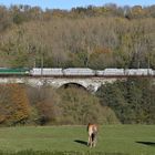  Güterzug- Viadukt bei Remersdaal (B)