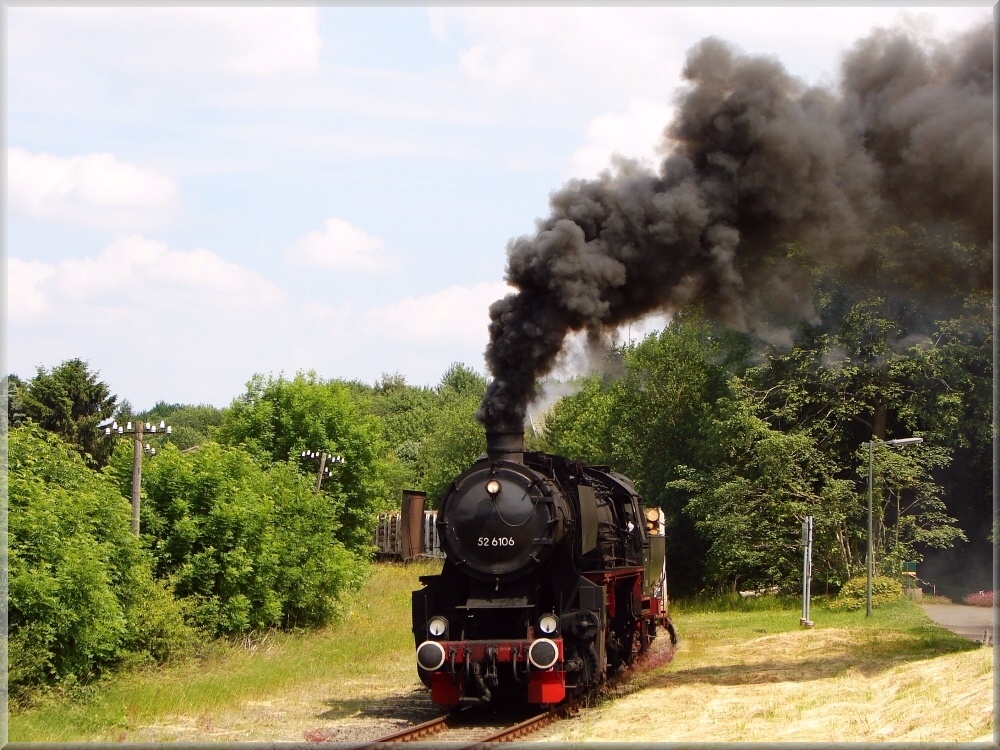 Güterzugplandampf 2010 in der Eifel