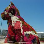 Guggenheim Bilbao 4