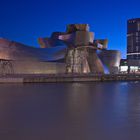 Guggenheim Bilbao Nocturno