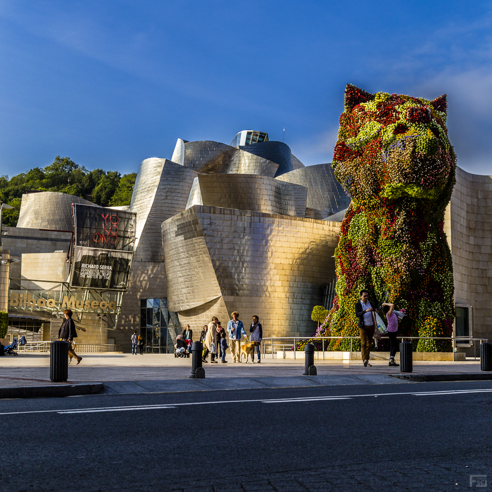 Guggenheim Cat