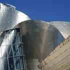 Guggenheim - Frank O. Gehry's work.