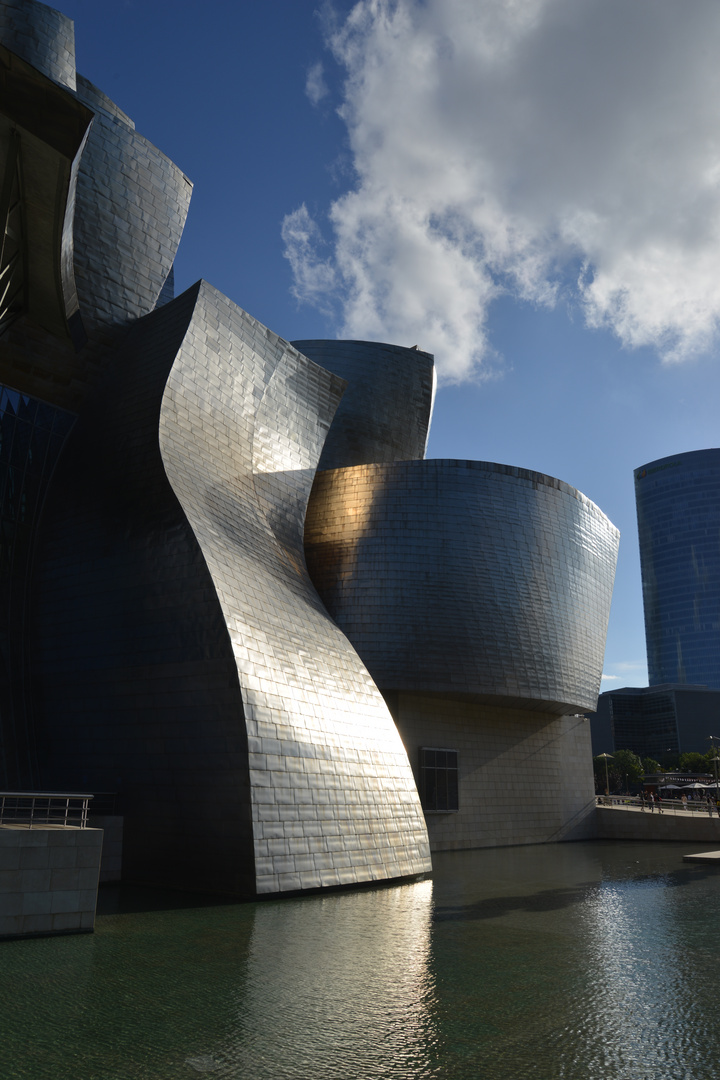 Guggenheim Museuam Bilbao