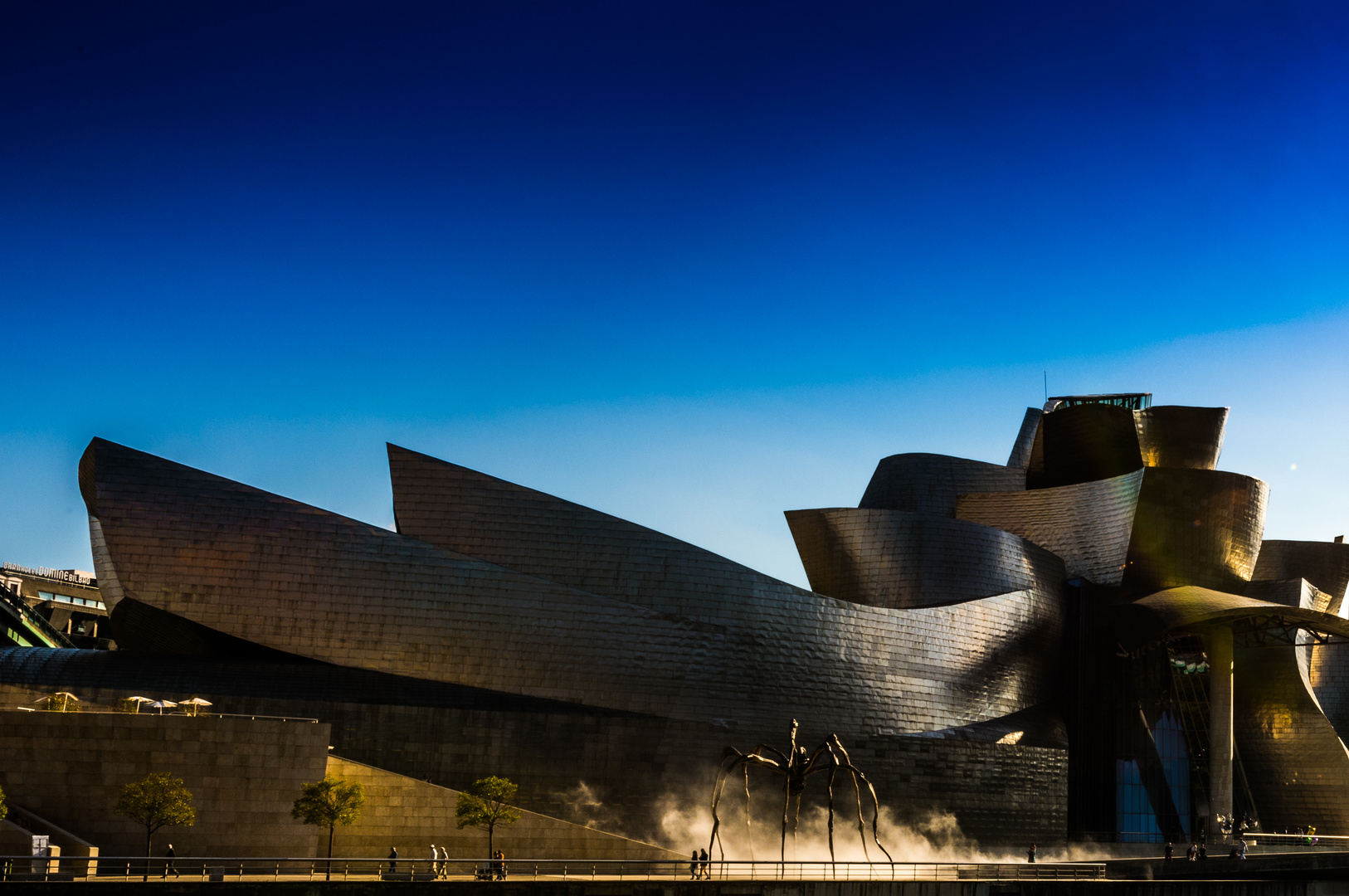 Guggenheim Museum Bilbao