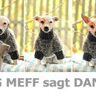 Guggt ma......Post von Meff.....