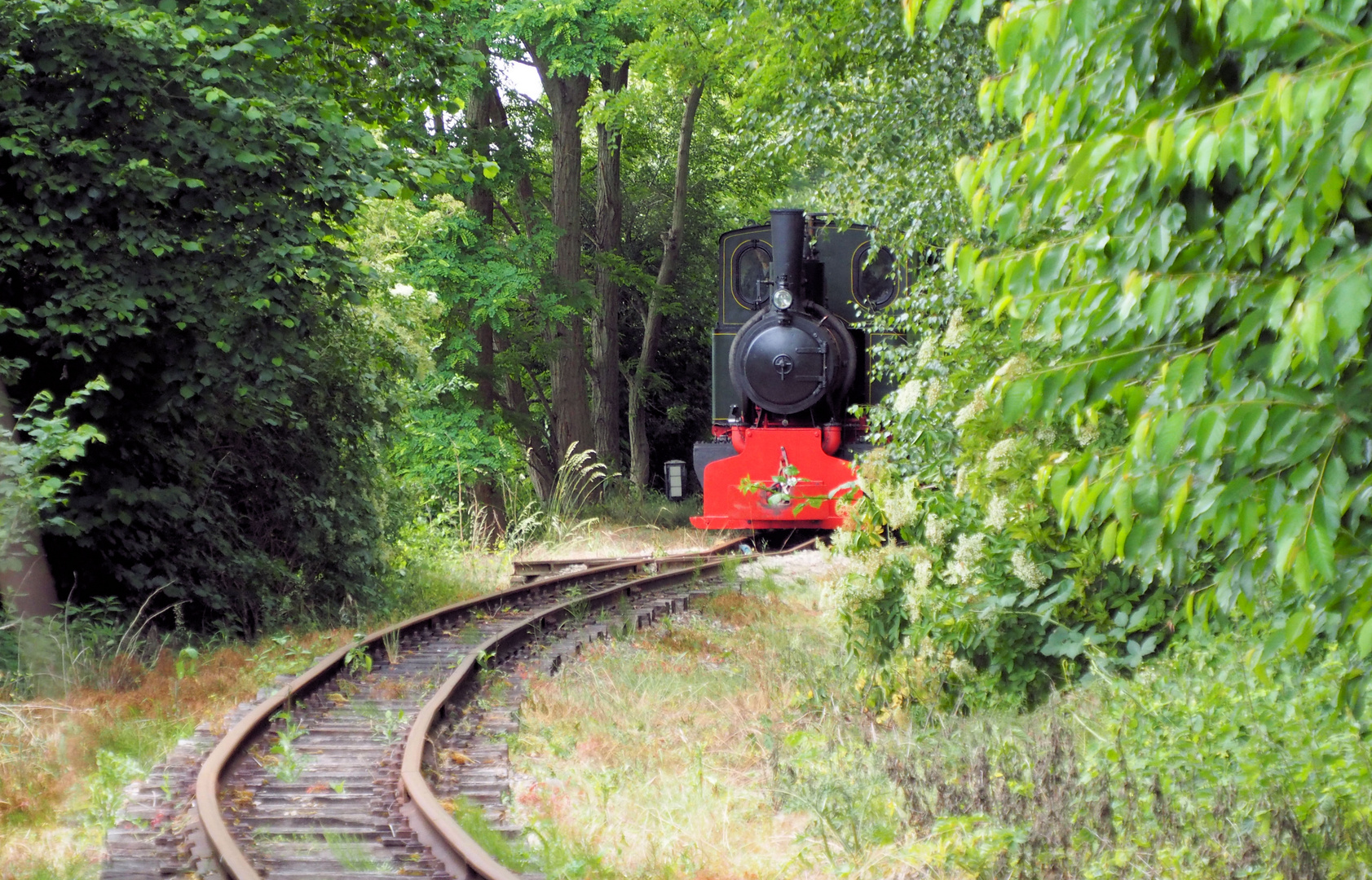 Guggug da kommt die kleine Feldbahn ...