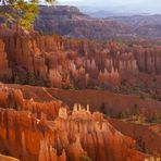 GUGLIE e PINNACOLI del BRYCE CANYON