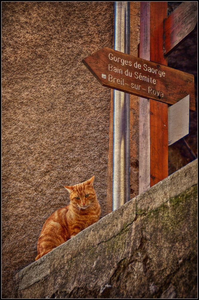 Guida turisti-cat 2