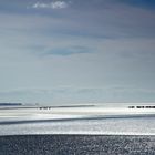 Guided walk across Morecambe Bay