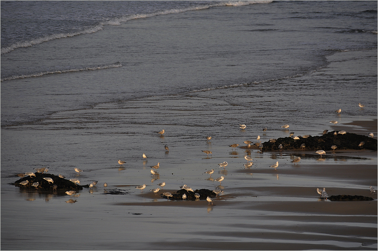 Guidel Plage morgens