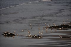 Guidel Plage morgens