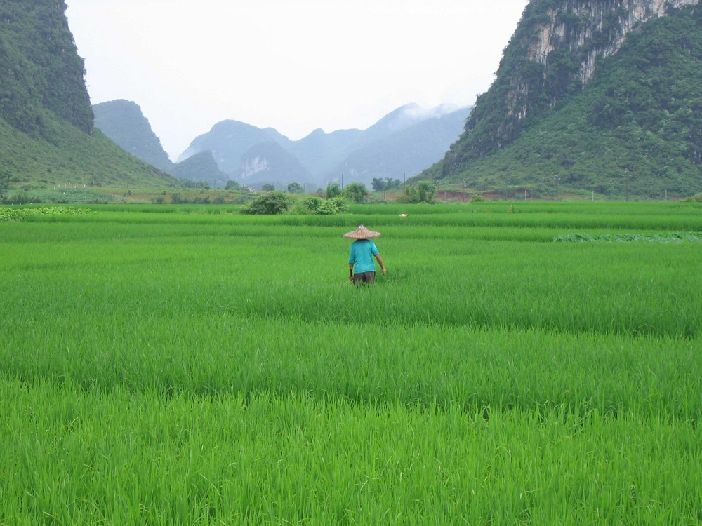 GUILIN (CINA)