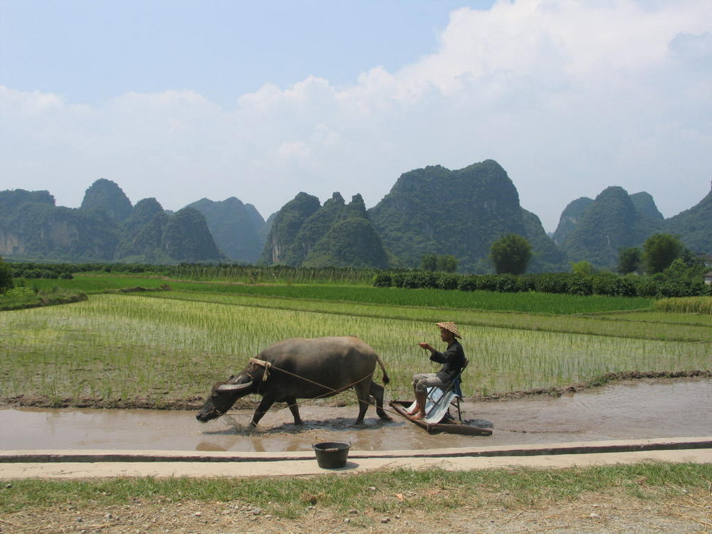 Guilin Karstgebirge