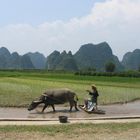 Guilin Karstgebirge