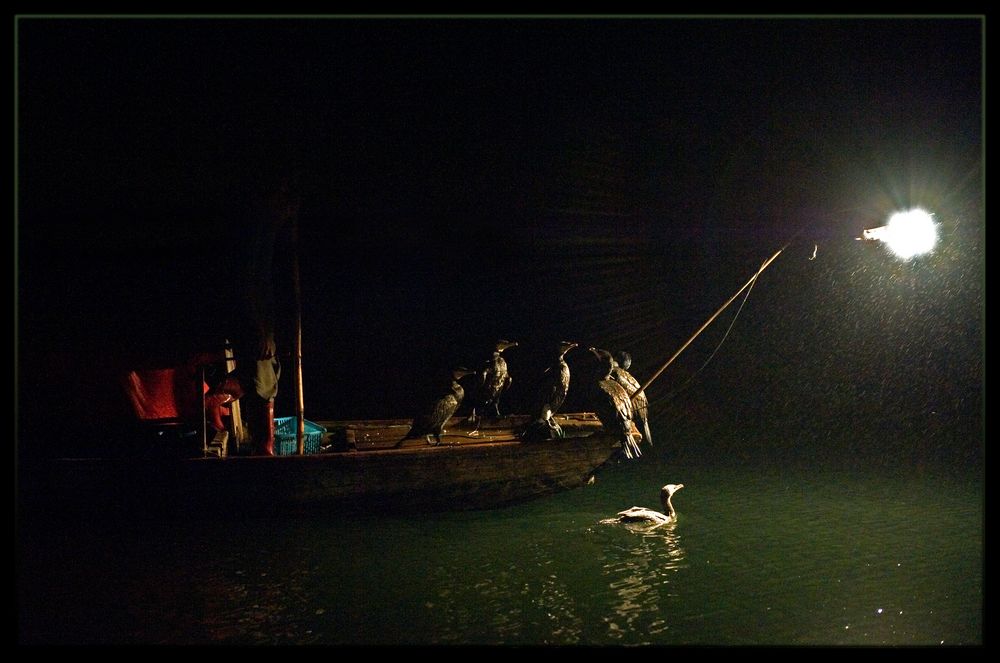 Guilin, pêche nocturne aux cormorans sur la rivière Li