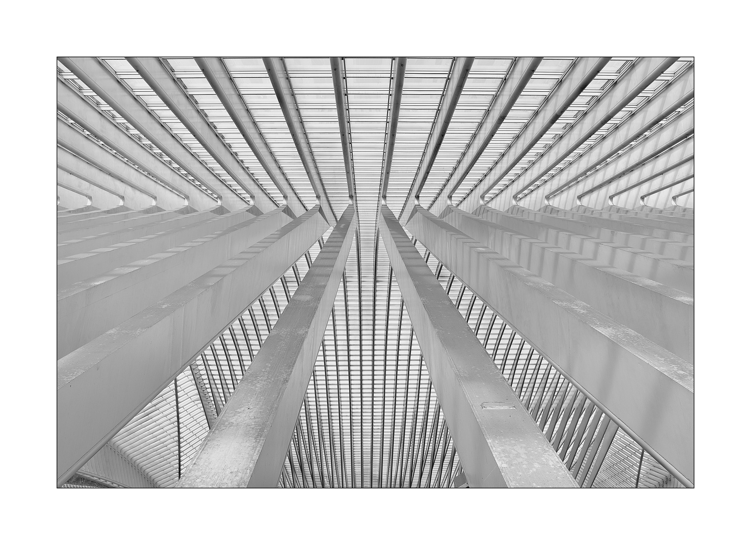 Guillemins 2