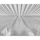 Guillemins 2