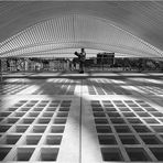 Guillemins # 2