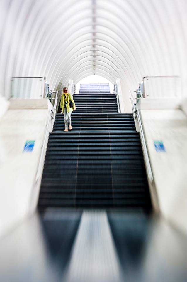 Guillemins