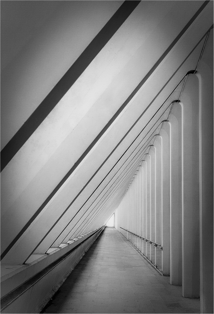 Guillemins