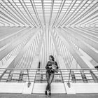 Guillemins 3