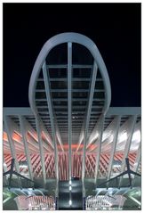 Guillemins #4