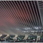 Guillemins #5