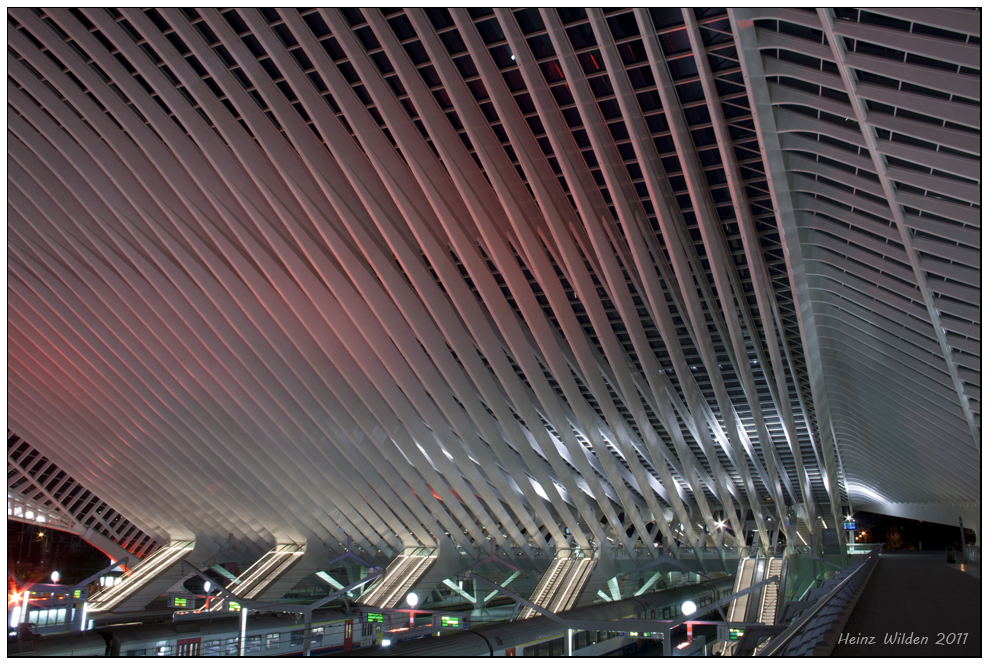 Guillemins #5