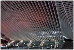 Guillemins #5