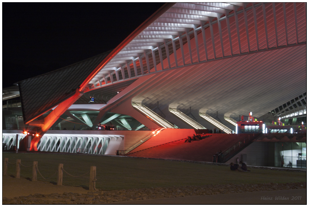 Guillemins #6