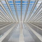 Guillemins