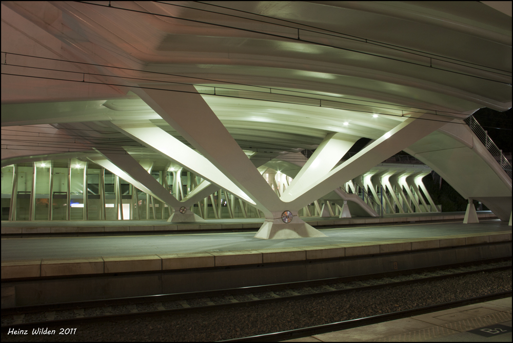 Guillemins #8