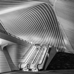 Guillemins