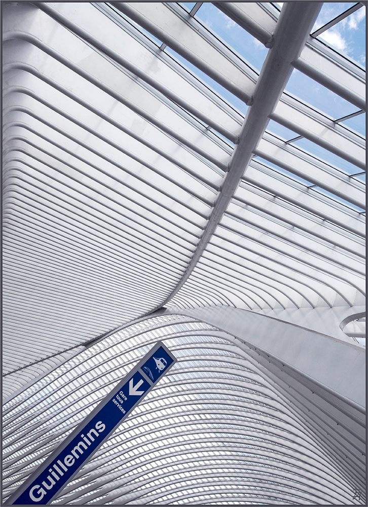 Guillemins