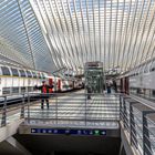 Guillemins