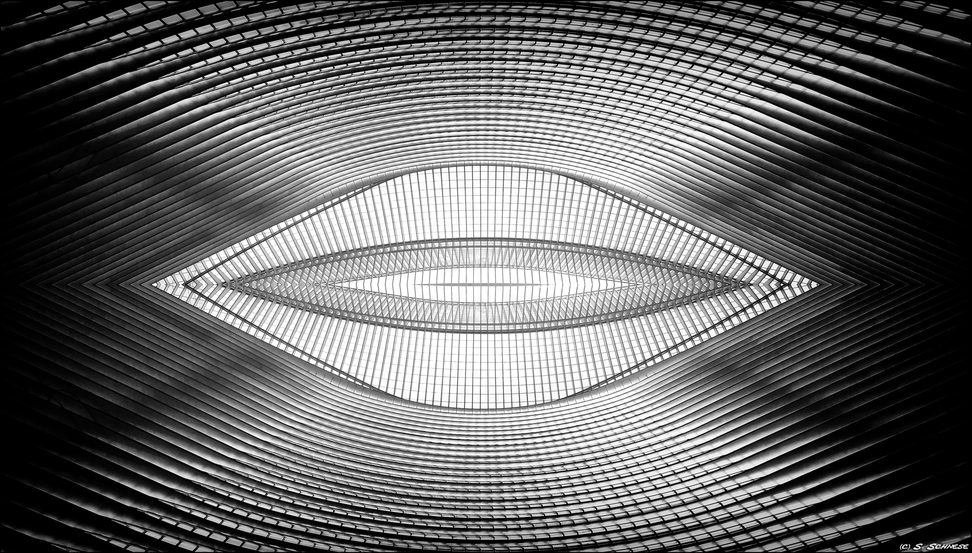 - Guillemins Eye -