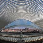 Guillemins