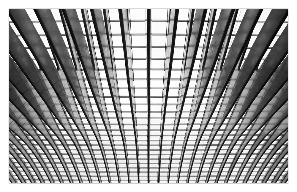 Guillemins-III