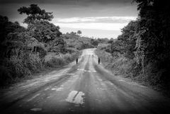 Guinée -le monde dans la foret - 05