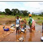 Guinée - Le monde dans la foret - OPEN LAUNDRY