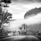 Guinée - le monde dans la foret - TIME IS OVER