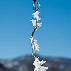 Guirlande de givre