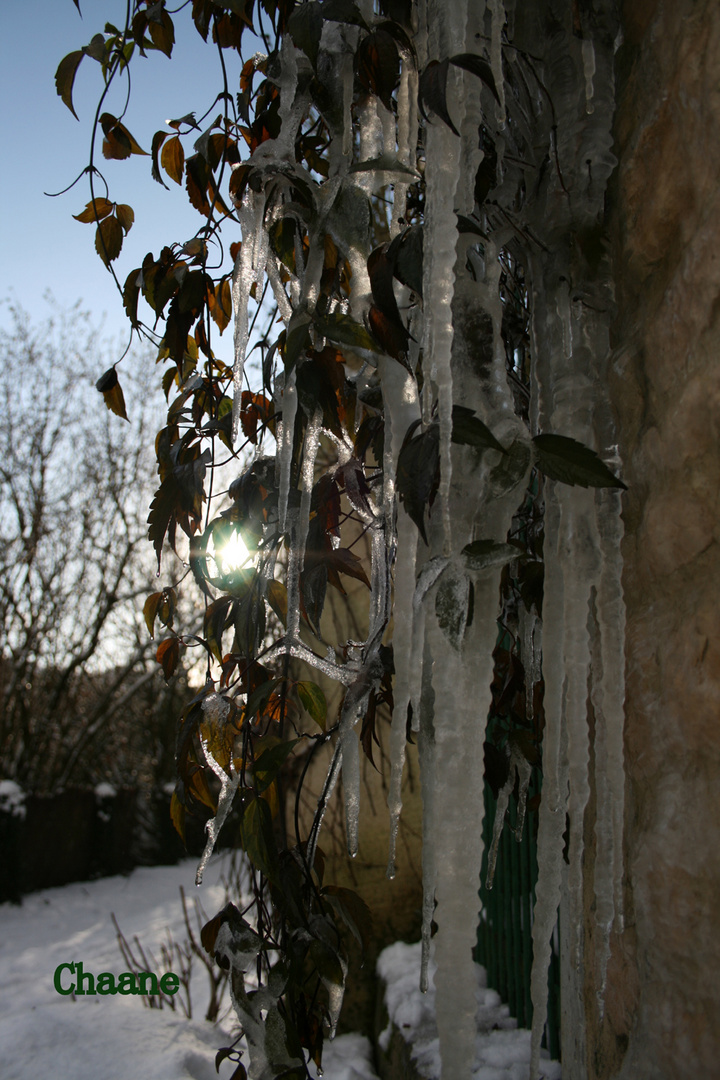 guirlandes de glaçons